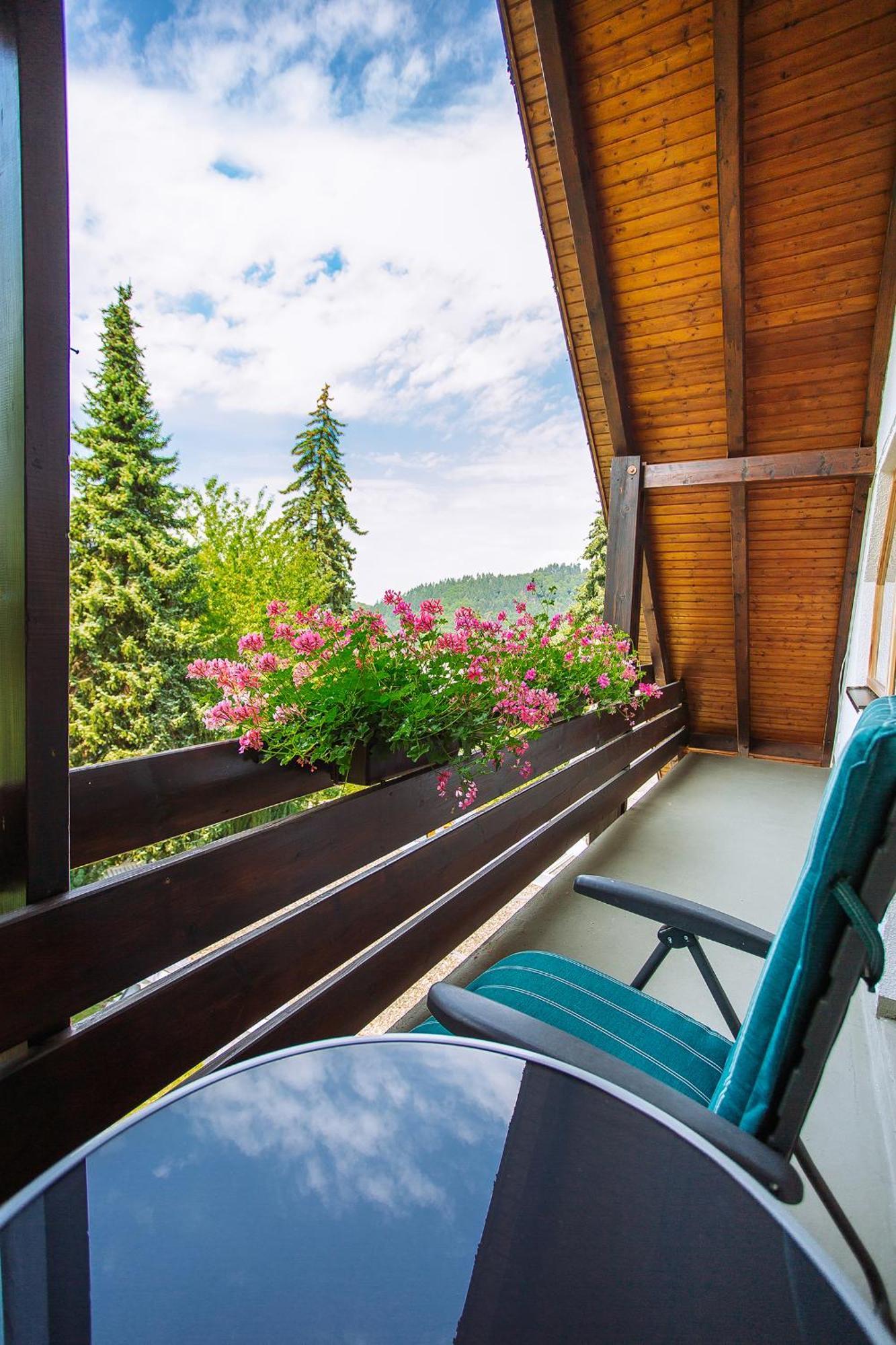 Apartment Am Tannenweg バーデンヴァイラー エクステリア 写真